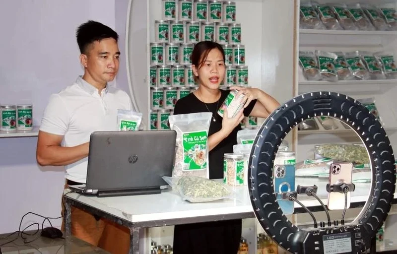 Retailers are selling goods through livestreaming. (Photo: VNA)
