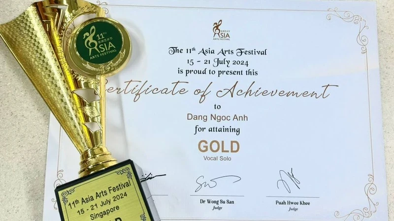 Dang Ngoc Anh wins gold prize at 2024 Asia Arts Festival.