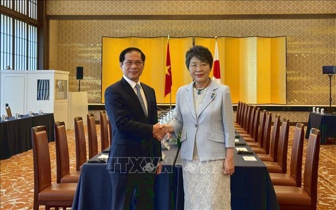 Minister of Foreign Affairs Bui Thanh Son (L) shakes hands with his Japanese counterpart Kamikawa Yoko. (Photo: VNA)