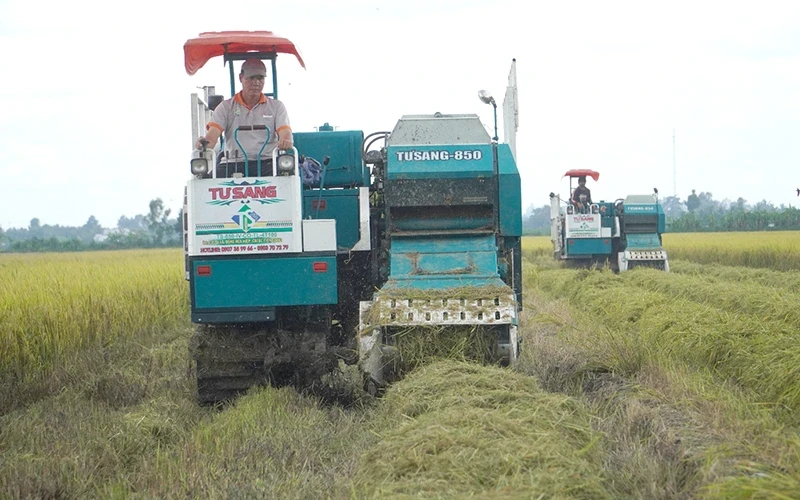 A straw rolling machine is used in the smart rice cultivation model of Vi Trung Commune, Vi Thuy District, Hau Giang Province.