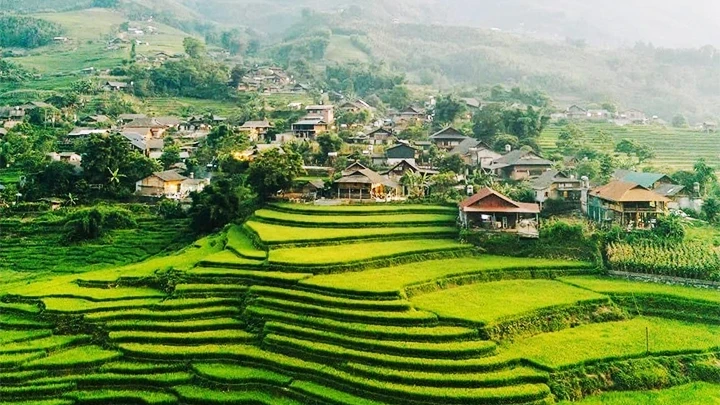 The landscape of Ta Van during the ripening rice harvest season is an experience that draws many travellers to Sa Pa. 