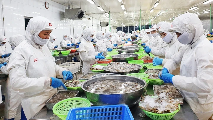 Seafood is expected to shine in the last months of the year