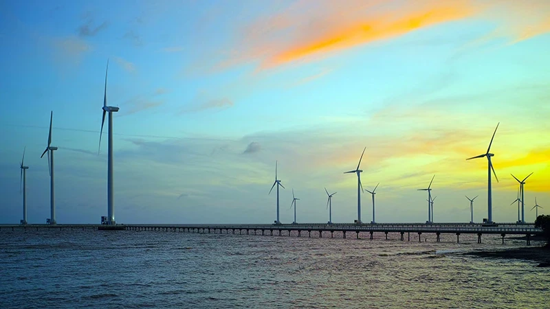 Bac Lieu Wind Power Plant Project. (Photo: LE NGUYEN)