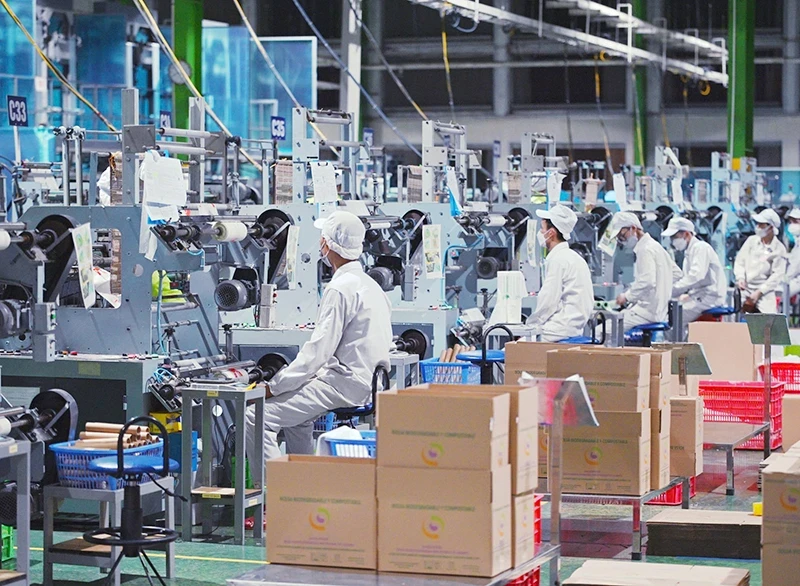 The production line for fully biodegradable products at An Phat Holdings' factory. (Photo: Dan Thanh)