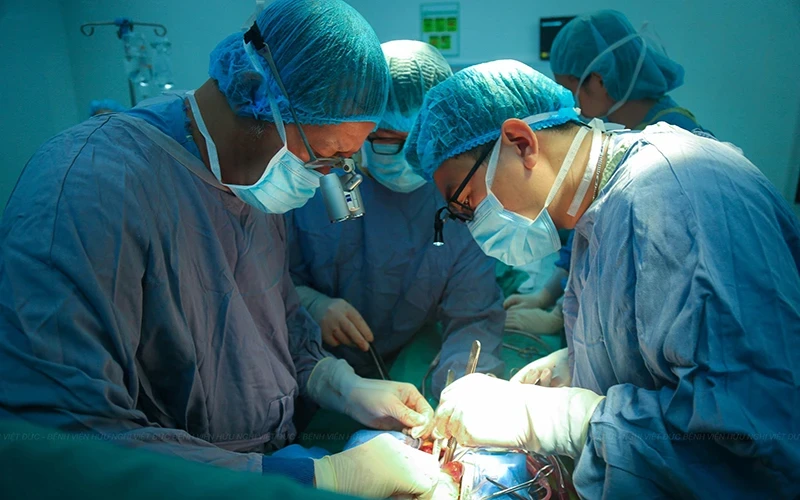 Doctors are performing the transplant.