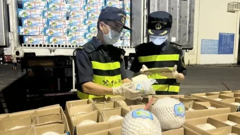 Chinese customs officials inspect the first shipment of fresh Vietnamese coconuts imported by road. (Photo: China Daily)