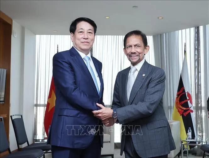 State President Luong Cuong (L) and Sultan of Brunei Darussalam Hassanal Bolkiah (Photo: VNA) 