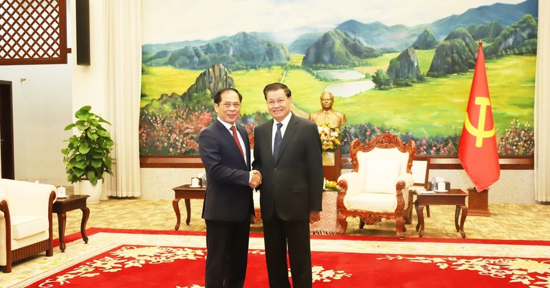 Party General Secretary and President of Laos Thongloun Sisoulith receives Deputy Prime Minister and Foreign Minister Bui Thanh Son (left) on December 17. (Photo: VNA) 