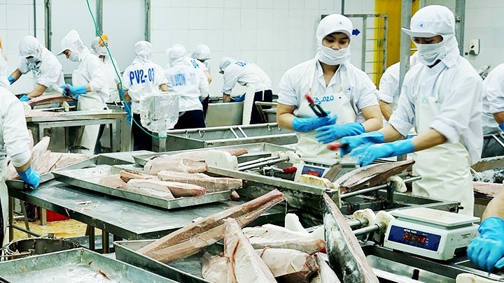 As of the end of November, Vietnam's total seafood export turnover reached nearly 9.2 billion USD, marking a 12% increase over the same period in 2023.