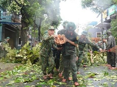Typhoon Noru knocks down many trees in Da Nang city. (Photo: VNA)