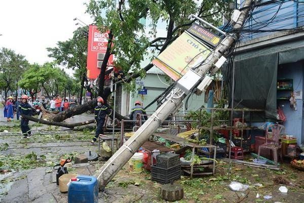 The storm also knocked down more than 500 trees in different localities (Photo: VNA)