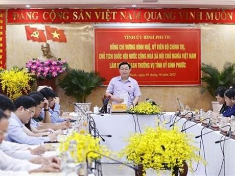 NA Chairman Vuong Dinh Hue speaks at the event (Photo: VNA)