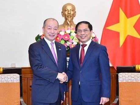Vietnamese Minister of Foreign Affairs Bui Thanh Son (R) and Parliamentary Vice Minister of Foreign Affairs of Japan Takagi Kei (Photo: VNA)