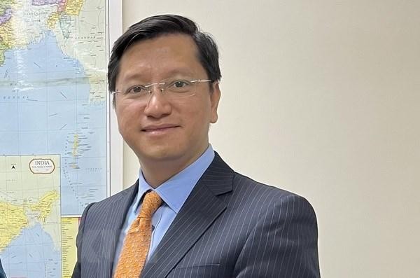 Vietnamese Ambassador to India Nguyen Thanh Hai (Photo: VNA) 