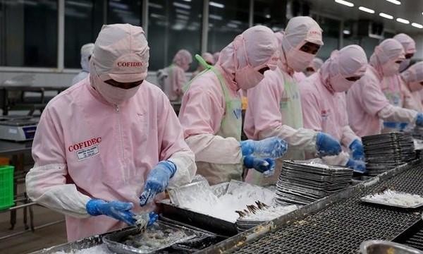 Shrimp processing for export (Photo: VNA)