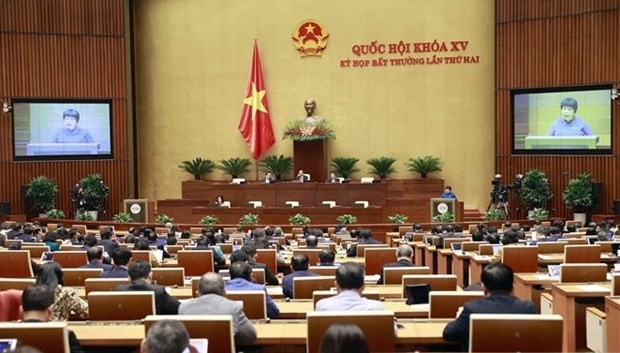 Chairwoman of the NA Committee for Social Affairs Nguyen Thuy Anh delivers the report (Photo: VNA)