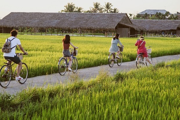 The Mekong Delta province of Long An has been urged to seize the new trend of agro and rural tourism. (Photo: VNA)