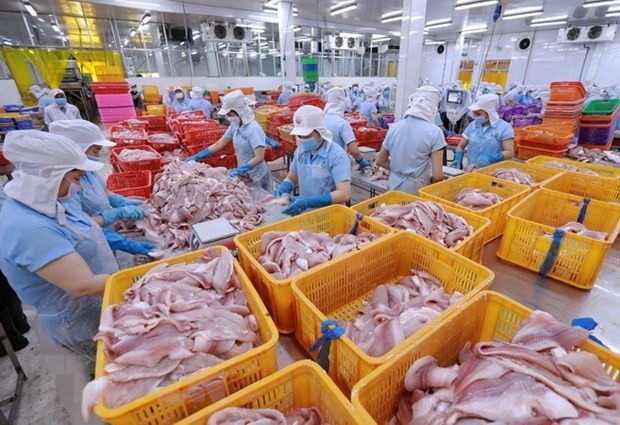 Sorting Tra fish fillet products at Navico company's factory. (Photo: VNA)