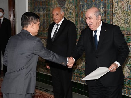 Vietnamese Ambassador to Algeria Tran Quoc Khanh (L) presents his credentials to Algerian President Abdelmadjid Tebboune on June 6. (Source: Vietnamese Embassy in Algeria)