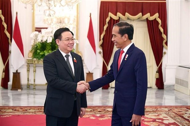 National Assembly Chairman Vuong Dinh Hue (left) and Indonesian President Joko Widodo. (Photo: VNA)