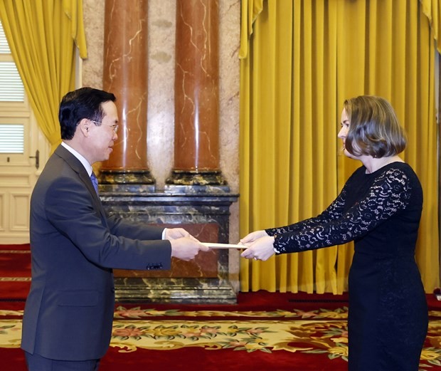 Irish Ambassador Deirdre Ní Fhallúin presents her credentials to President Vo Van Thuong in Hanoi on August 29. (Photo: VNA)