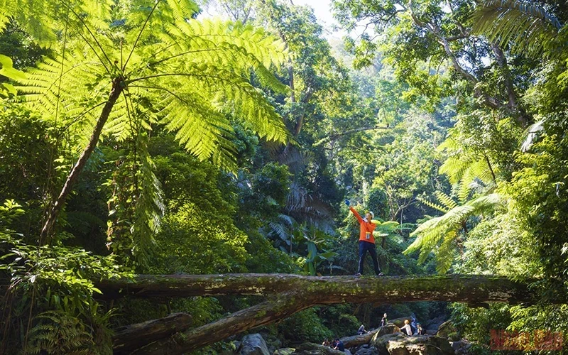 Exploring Dong Chau forest in Quang Binh, Vietnam. (Photo: KIEN TRAN)