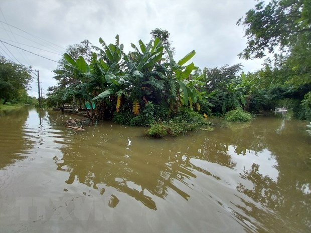 Heavy-rain-induced flood in Quang Dien district, Thua Thien-Hue province. (Photo: VNA)