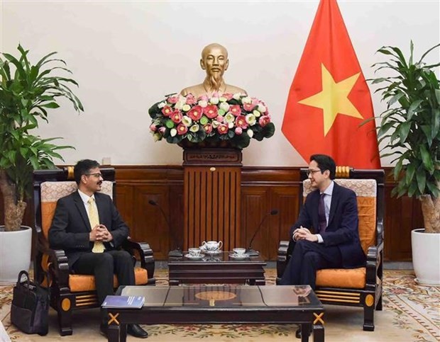 The meeting between Deputy Foreign Minister Do Hung Viet (R) and UN Special Rapporteur on the right to development Surya Deva in Hanoi (Photo: VNA)