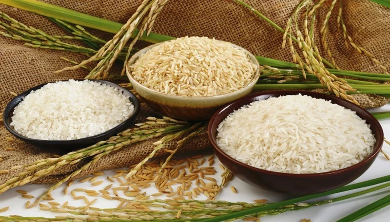 Vietnamese rice affirms its quality and value