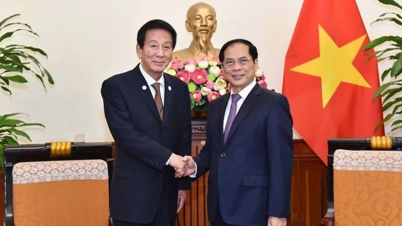 Foreign Minister Bui Thanh Son (right) receives visiting former Special Ambassador for Vietnam-Japan Sugi Ryotaro in Hanoi. (Photo: VNA)