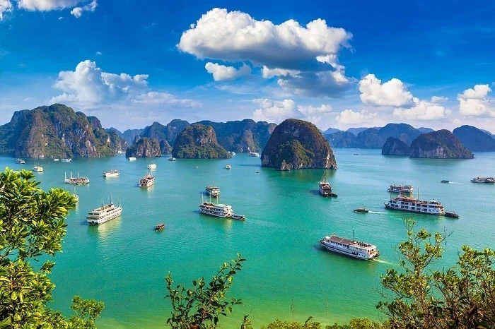 Ha Long Bay is always a must-visit destination for international tourists when coming to Vietnam. (Photo: Canva)