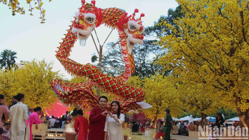 [Photo] Yellow apricot blossom at Vietnamese Tet Festival 2024