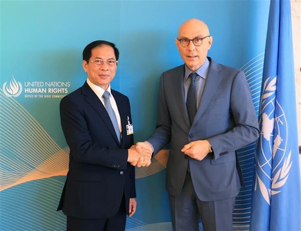 Foreign Minister Bui Thanh Son (L) meets UN High Commissioner for Human Rights Volker Türk (Photo: VNA)