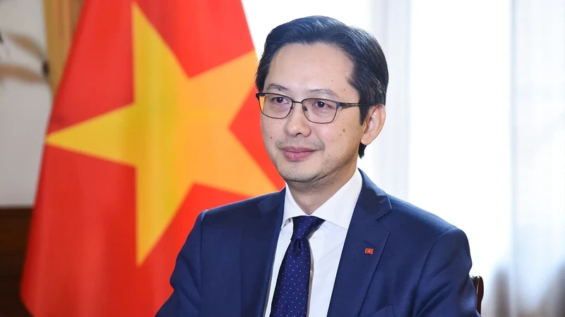 Deputy Minister of Foreign Affairs Do Hung Viet (Photo: VNA)