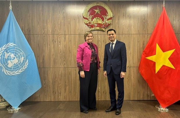 Ambassador Dang Hoang Giang, Vietnam's Permanent Representative to the UN (R), receives UNICEF Representative in Vietnam Rana Flowers (Photo: VNA)