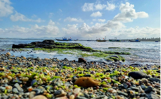 Tam Hai island commune is one of the high-biodiversity areas in Quang Nam province. (Photo: nhandan.vn)