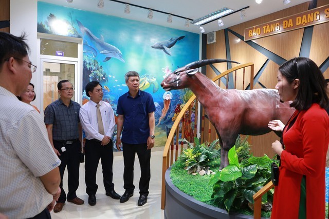 The Quang Nam biodiversity museum is launched on May 15 (Photo: baochinhphu.vn)