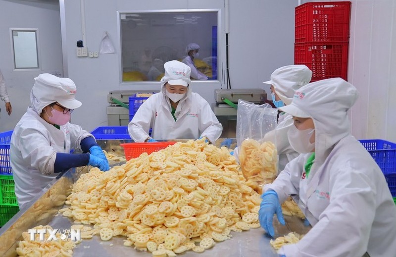 At Dai Viet Lotus Food JSC's factory (Photo: VNA)