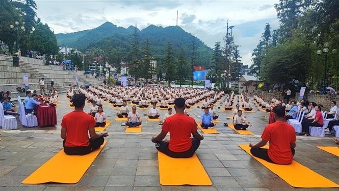 A mass yoga performance at the event (Photo: VNA)