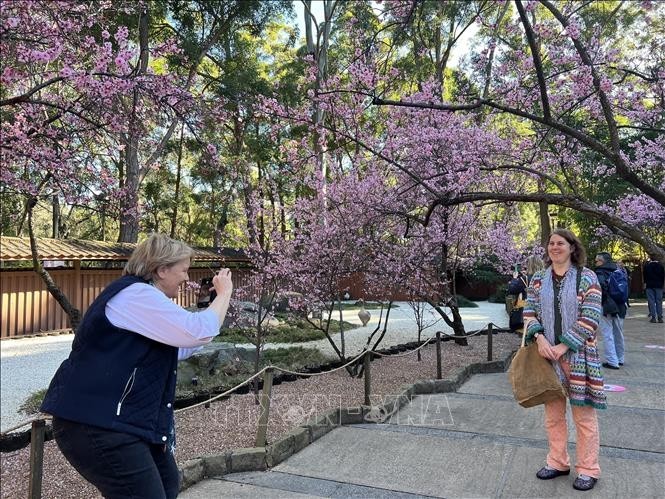 International tourist numbers are close to recovering to pre-pandemic levels and visitors are splashing more money in Australia. (Photo: VNA)