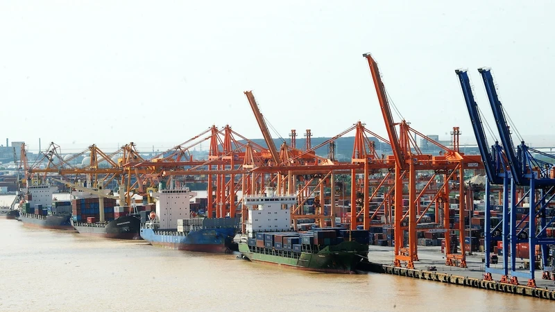 Dinh Vu port. (Photo: TRAN HAI)