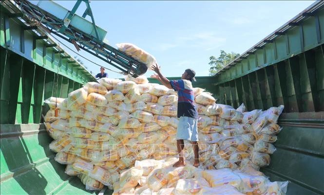 Workers package rice for export at Thoai Son Food Co.Ltd, a member of Loc Troi Group Joint Stock Company. (Photo: VNA)