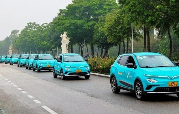 EVs made by Vietnamese maker VinFast (Photo: VNA)