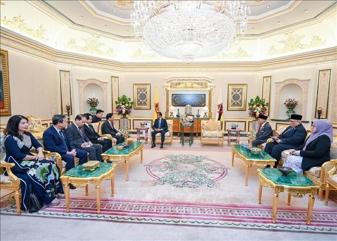 The meeting between NA Vice Chairman Nguyen Khac Dinh and Sultan of Brunei Haji Hassanal Bolkiah in Bandar Seri Begawan on August 10 (Photo: VNA)