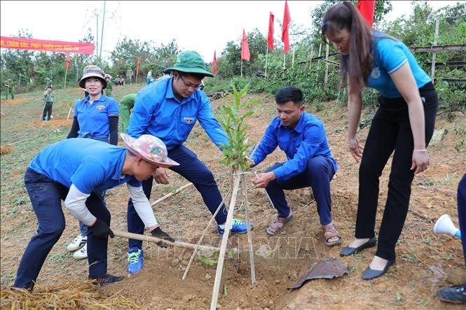 Young people plant trees in Dien Bien province. The province looks to develop Tuan Giao district into a macadamia farming centre. (Photo: VNA)