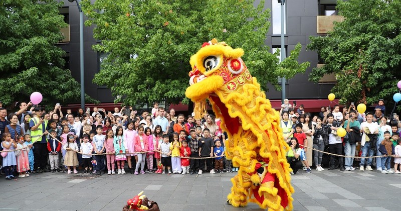 Lion dance is the most awaited part of the Mid-Autumn Festival (Photo: VNA)