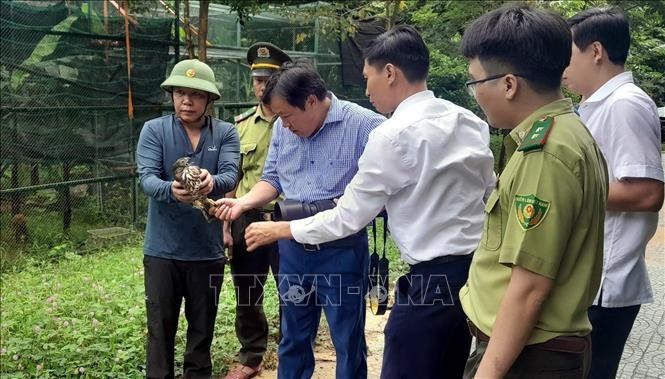 15 rare wild animals are released into the Phong Nha-Ke Bang National Park on September 25 (Photo: VNA)