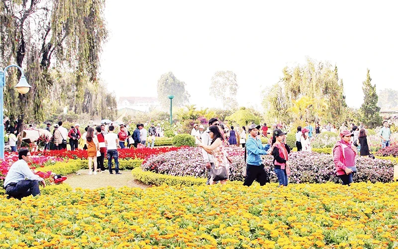 Tourists experience Da Lat — the city of thousands of flowers.