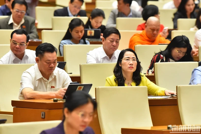 National Assembly deputies