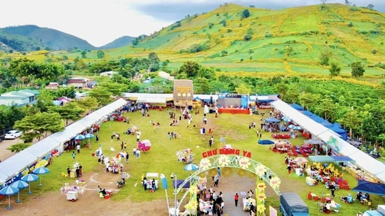 The 2024 Wild Sunflower Week - Chu Dang Ya Volcano Gia Lai is held from November 6 to 12.